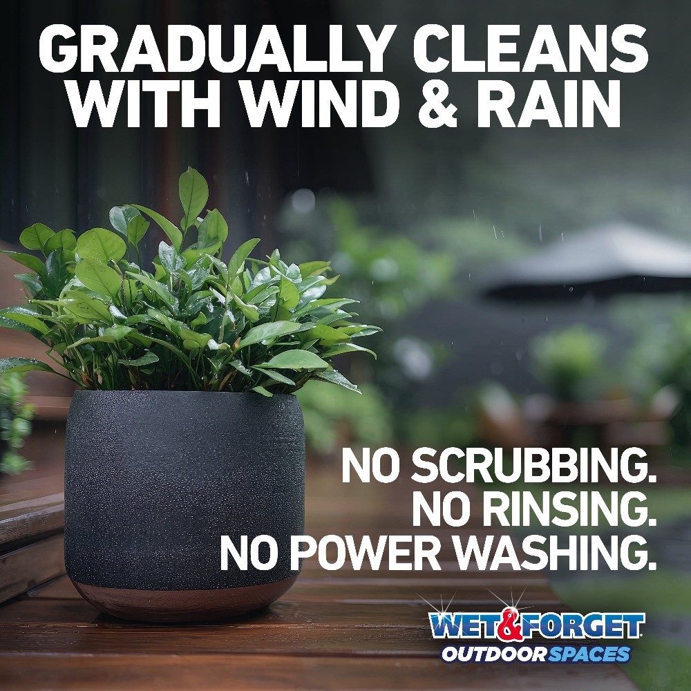 Outdoor Spaces Moss, Mold, Mildew, and Algae Stain Remover Spray, 32 oz