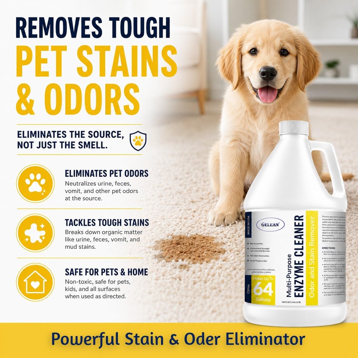 Enzymatic Cleaner Multi-Purpose Enzyme Cleaner for Dog Urine and Poop Carpet …