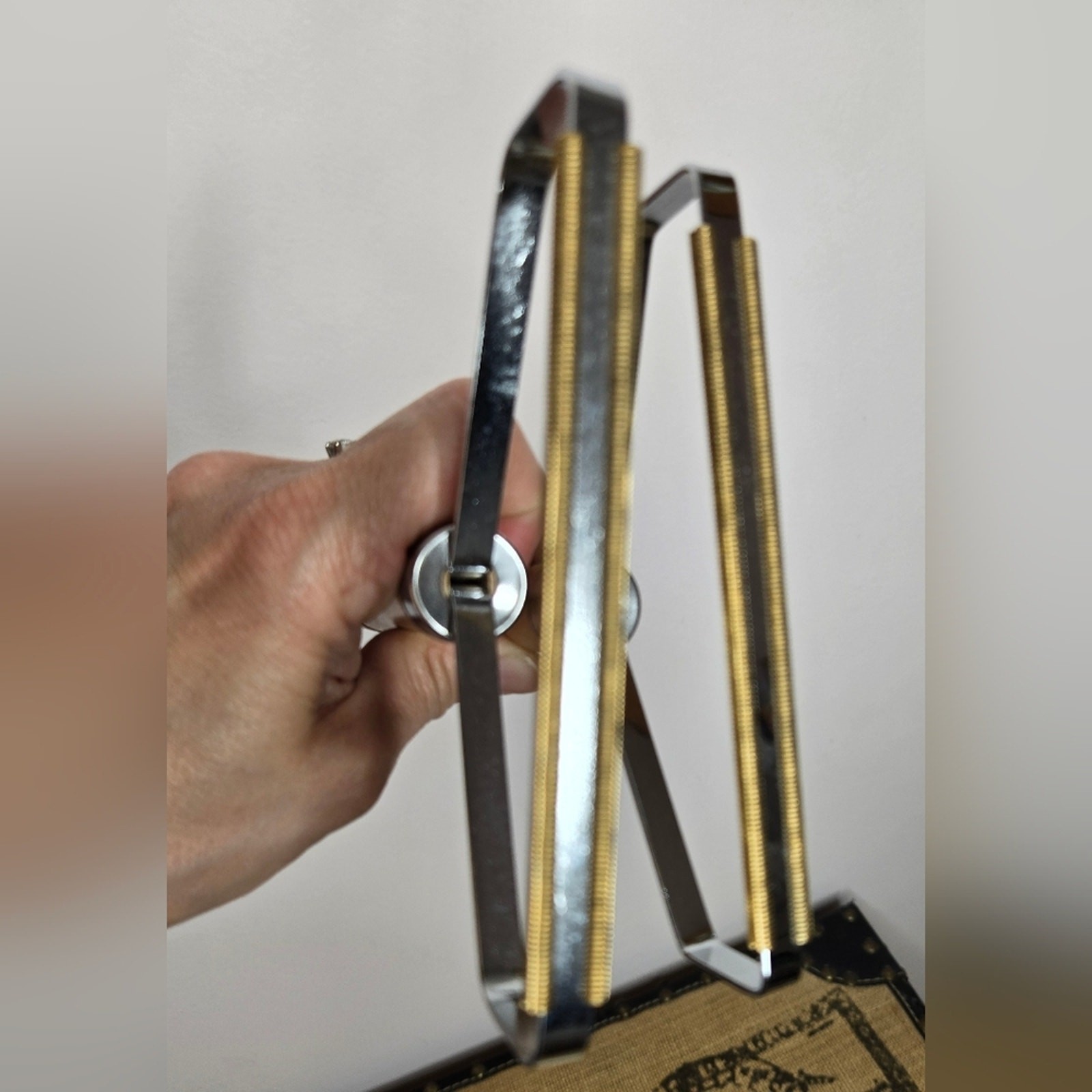 Set of 2 Handheld Carpet Pet Hair Cleaners