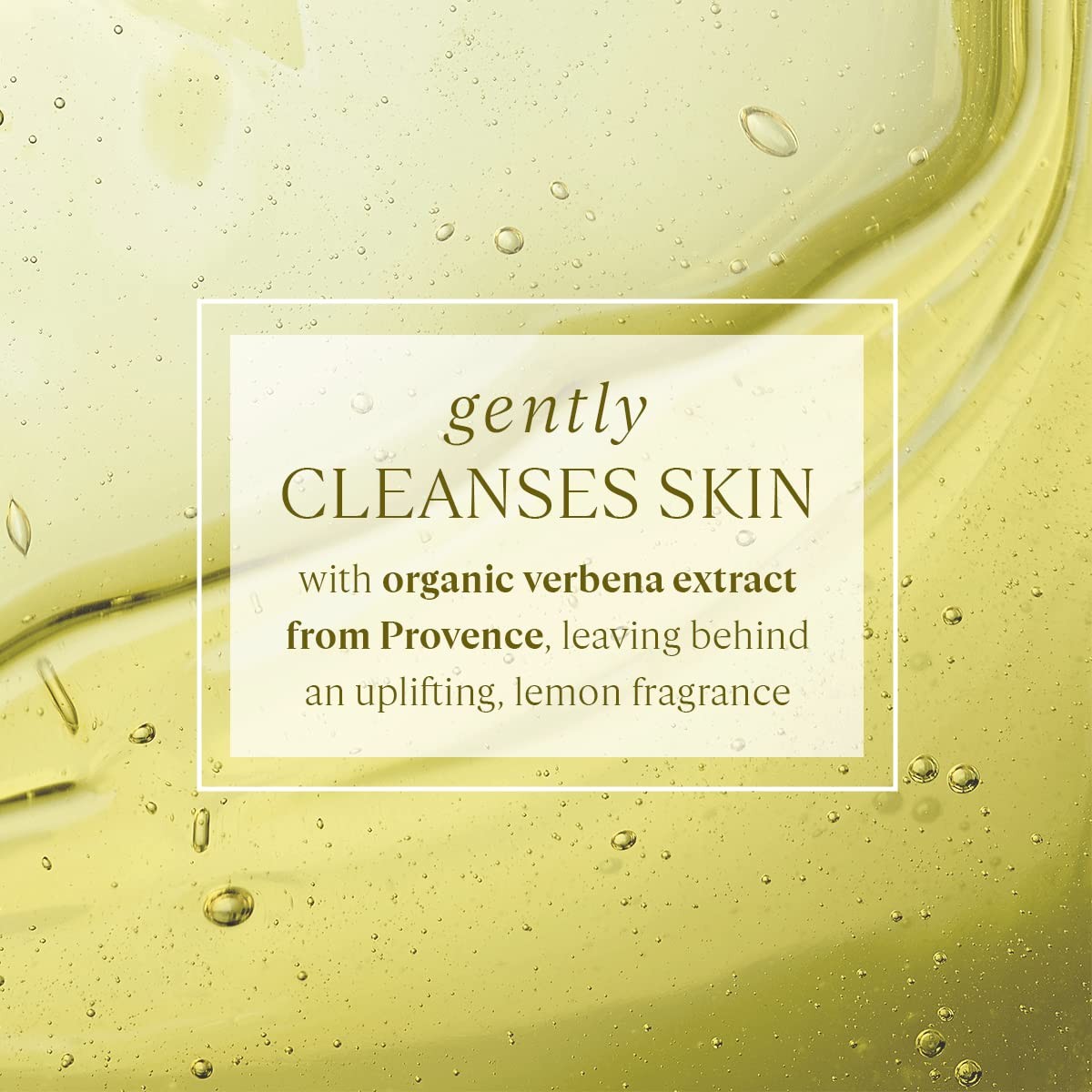 L’OCCITANE Bath & Shower Gel, Daily Foaming Body Wash Gently Cleanses, Moistur