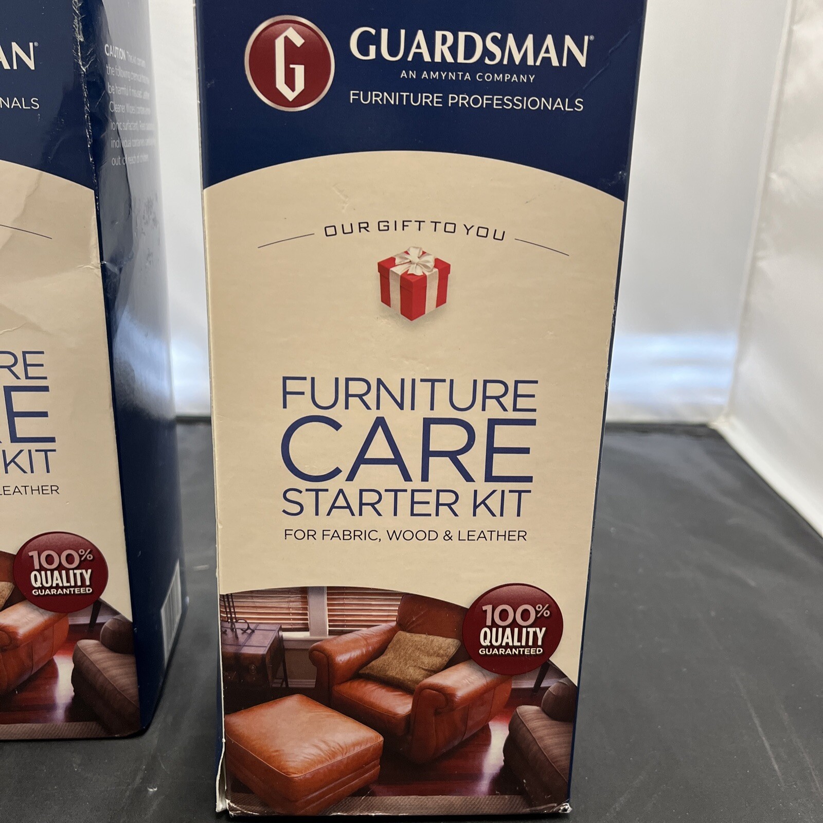 Guardsmen Professional furniture Care Staryer Kit for fabric wood leather Set 2