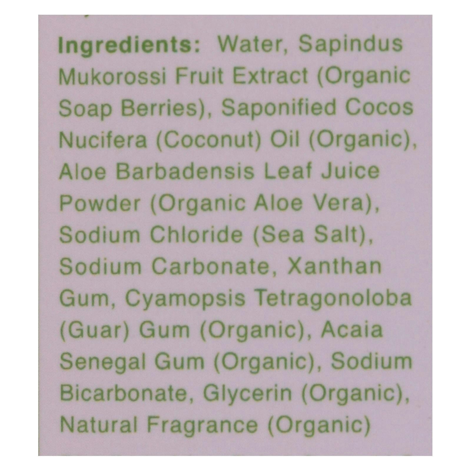 Rebel Green Laundry Detergent – Lavender and Grapefruit 64 fl. oz (Pack of 4)