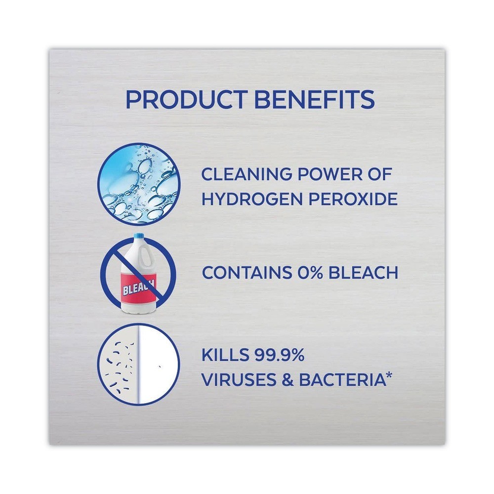 LYSOL Brand 19200-96084 24 oz Toilet Bowl Cleaner – Ocean Fresh (4/Carton) New