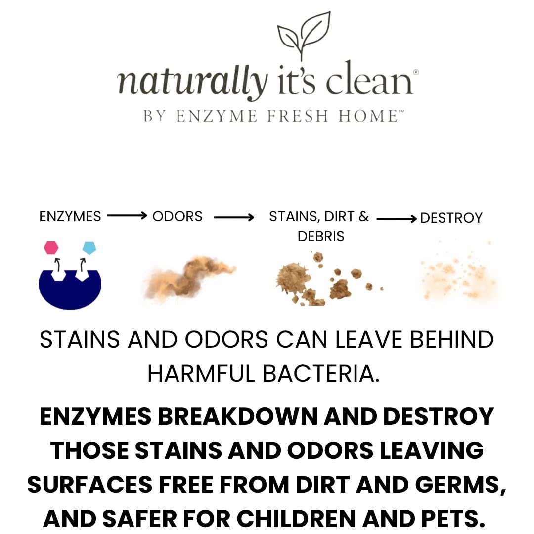 Enzymatic Multi-Surface Cleaner 24 oz Concentrate