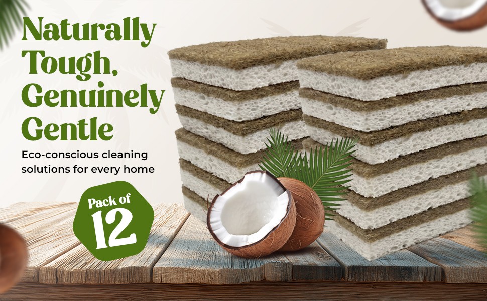 12 Pack Natural Kitchen Sponges – Biodegradable, Compostable, Sustainable Wood