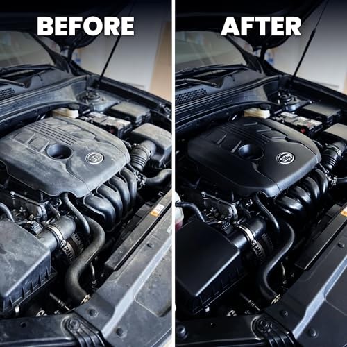 Engine Dressing | Professional Engine Bay Cleaner and 128 Fl Oz (Pack of 1)
