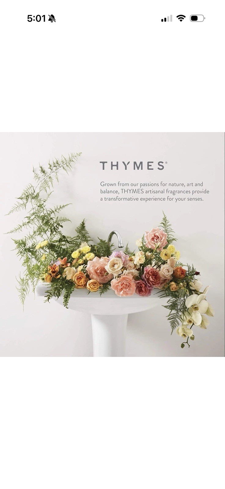 Thymes Frasier Fir All-Purpose Cleaner 16 Fl Oz 475 ml