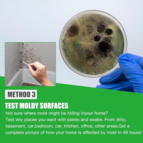 Mold Test Kit for Home Within 8 Individual Tests,DIY Detector at Home,Surface Mo