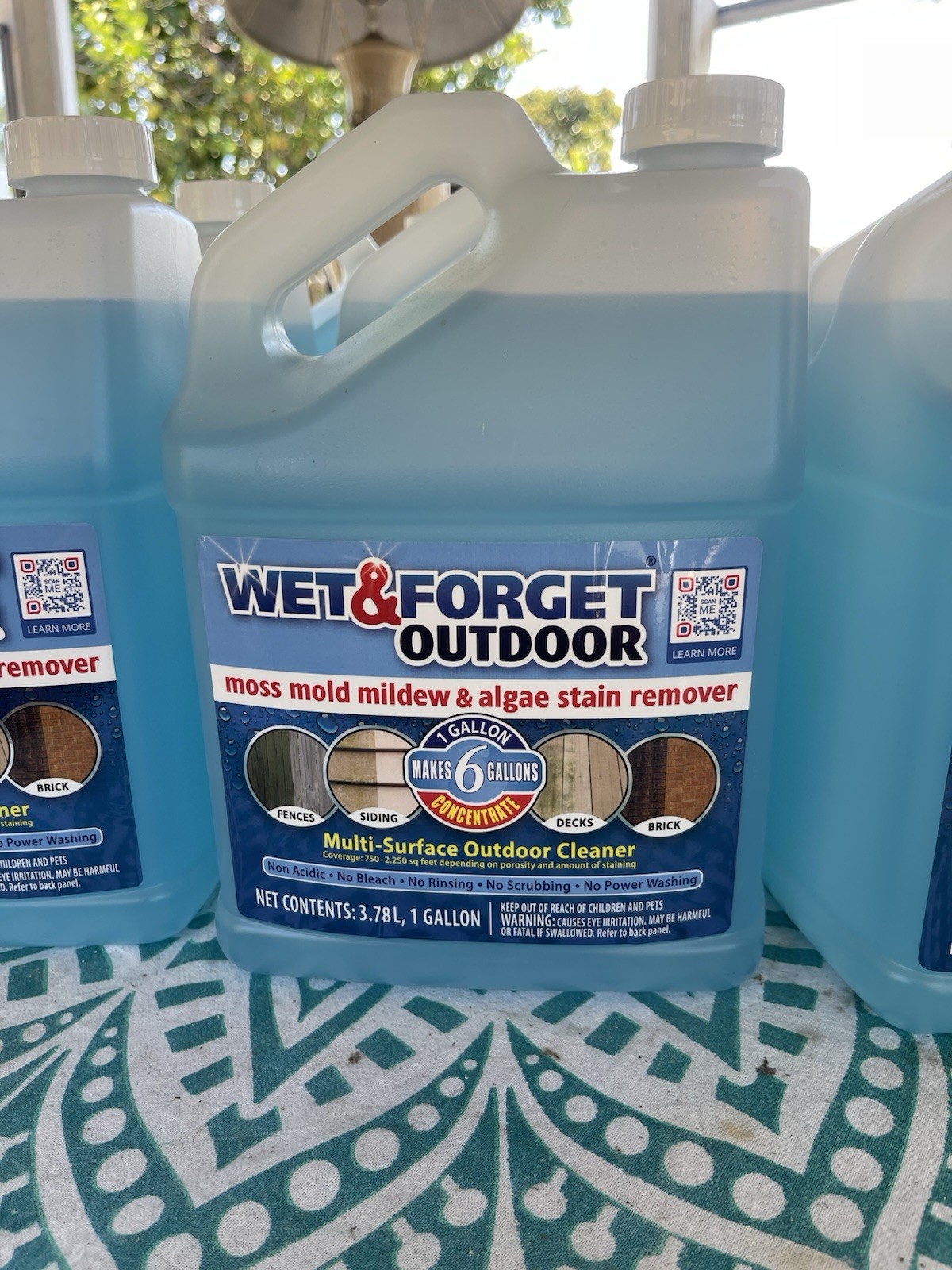 Wet & Forget Outdoor Cleaner Concentrate 1 gallon