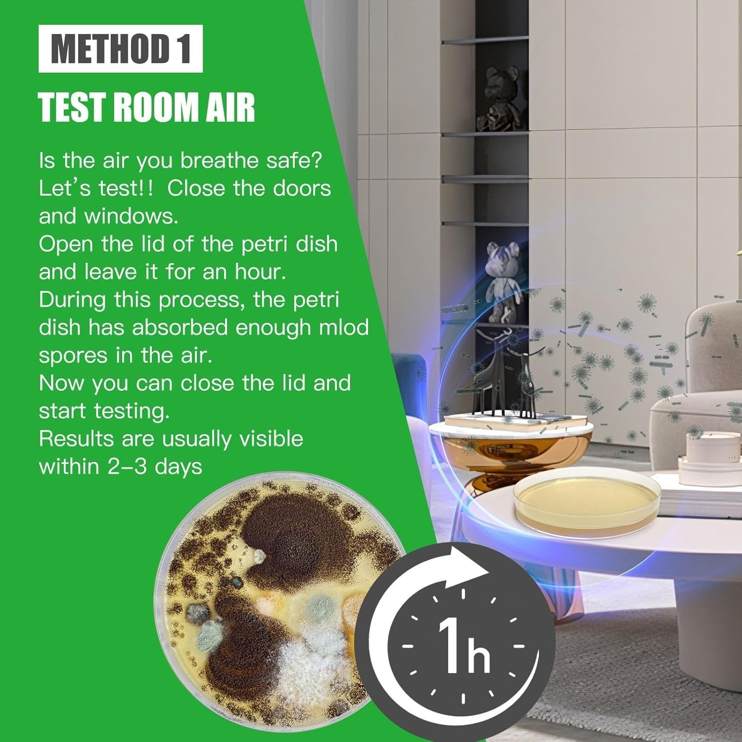 Mold Kit for Home Within 12 Individual Tests,DIY Detector at Home, Surface M…