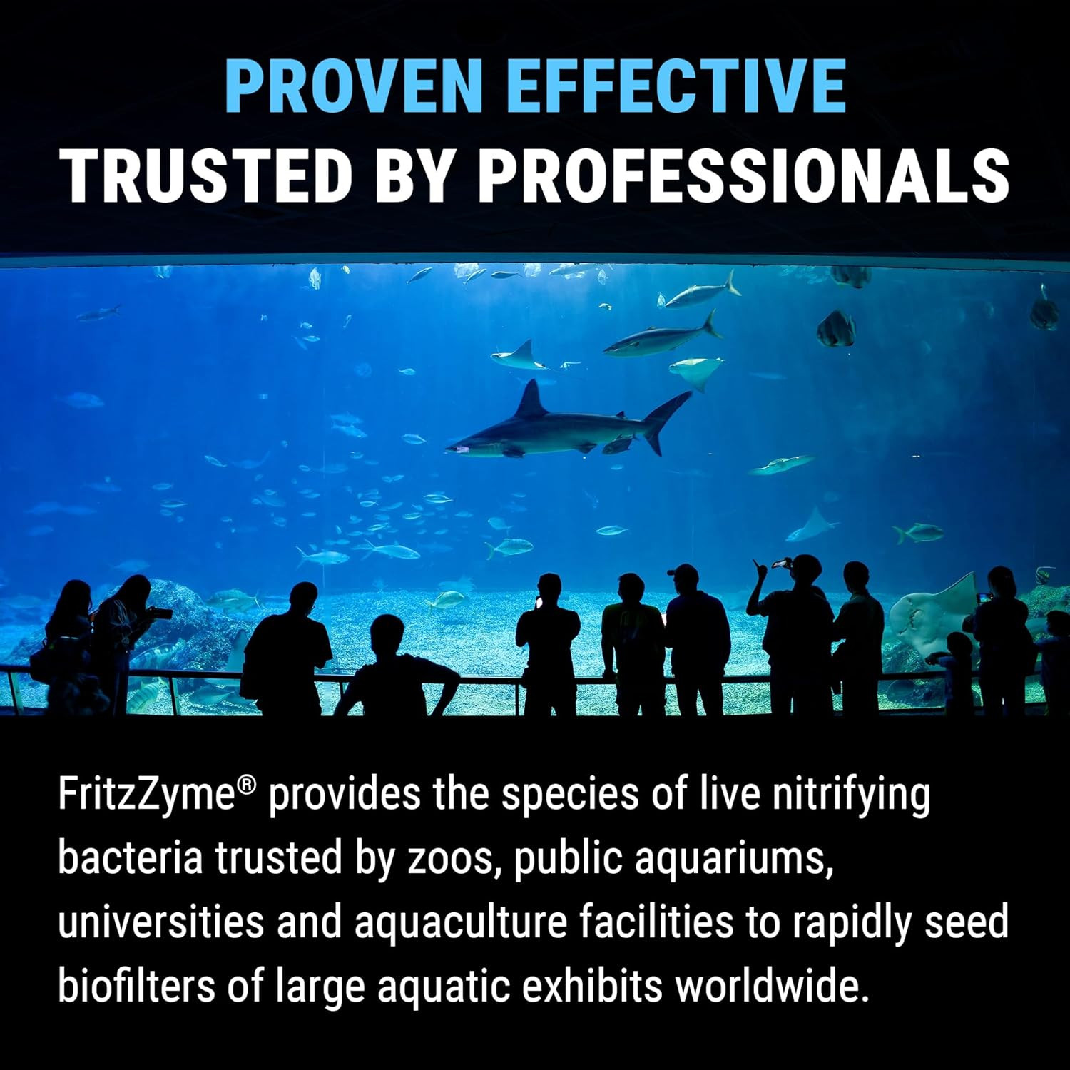 Fritzzyme 7 Live Nitrifying Bacteria Naturally Removes Amonia & Nitrite for Fres