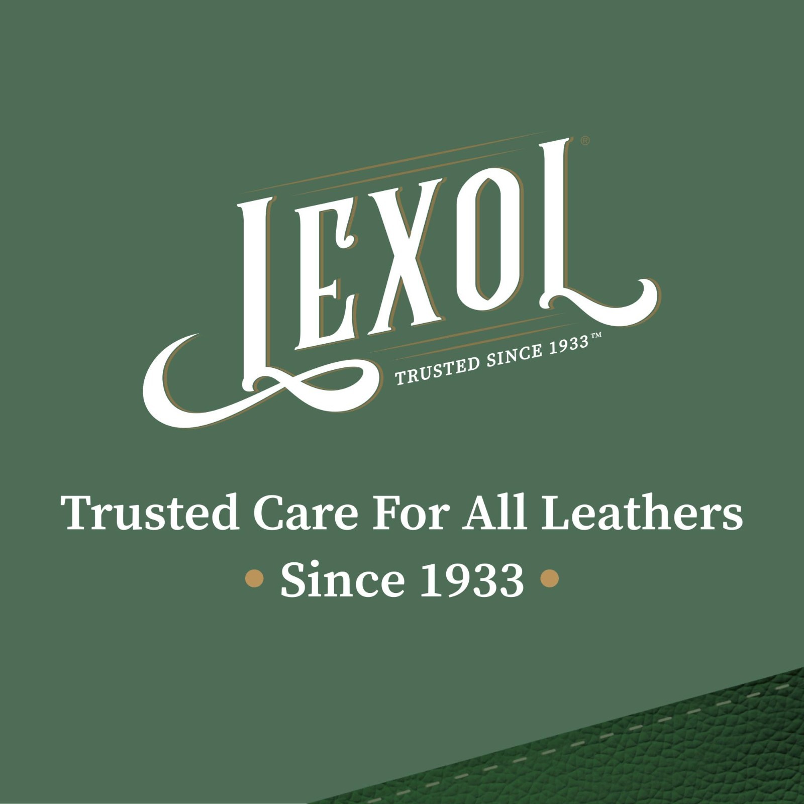 5-Piece Leather Care Kit – Natural Cleaner & Conditioner, Aloe Vera, Cloths & Br