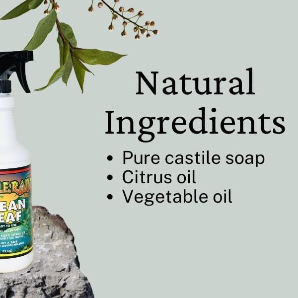 32oz Ready-to-Use Clean Leaf Spray – Enhances Shine & Cleans Leaves Naturally