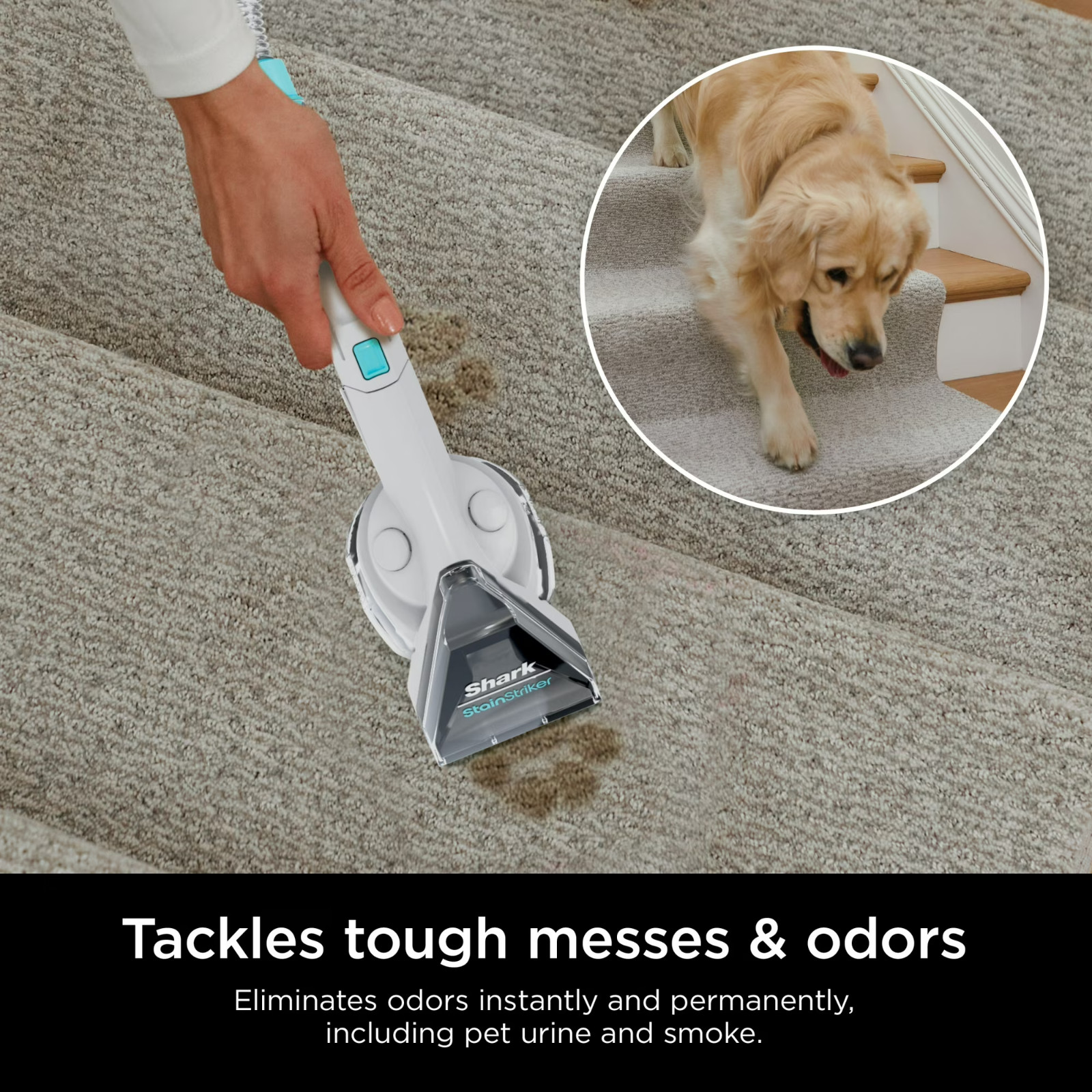 Shark CarpetXpert Deep Clean Pro for StainStriker Spot remover Liquid 48-oz