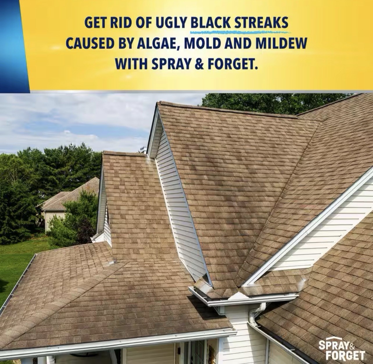 Spray & Forget 1 Gal. Revolutionary Roof Cleaner Concentrate
