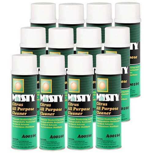 MISTY Citrus All-Purpose Cleaner – 19 oz (Case of 12) 1001583