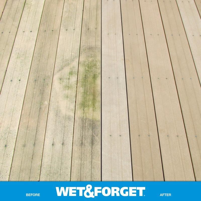 Outdoor Surface Cleaner Ready to Use Moss Mold Mildew Algae Stain Remover