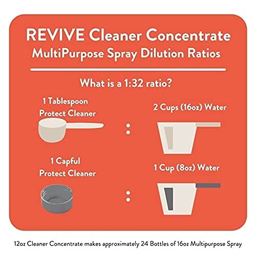 Protect Cleaner Concentrate Multipurpose Allpurpose Concentrated Mopping Nontoxi