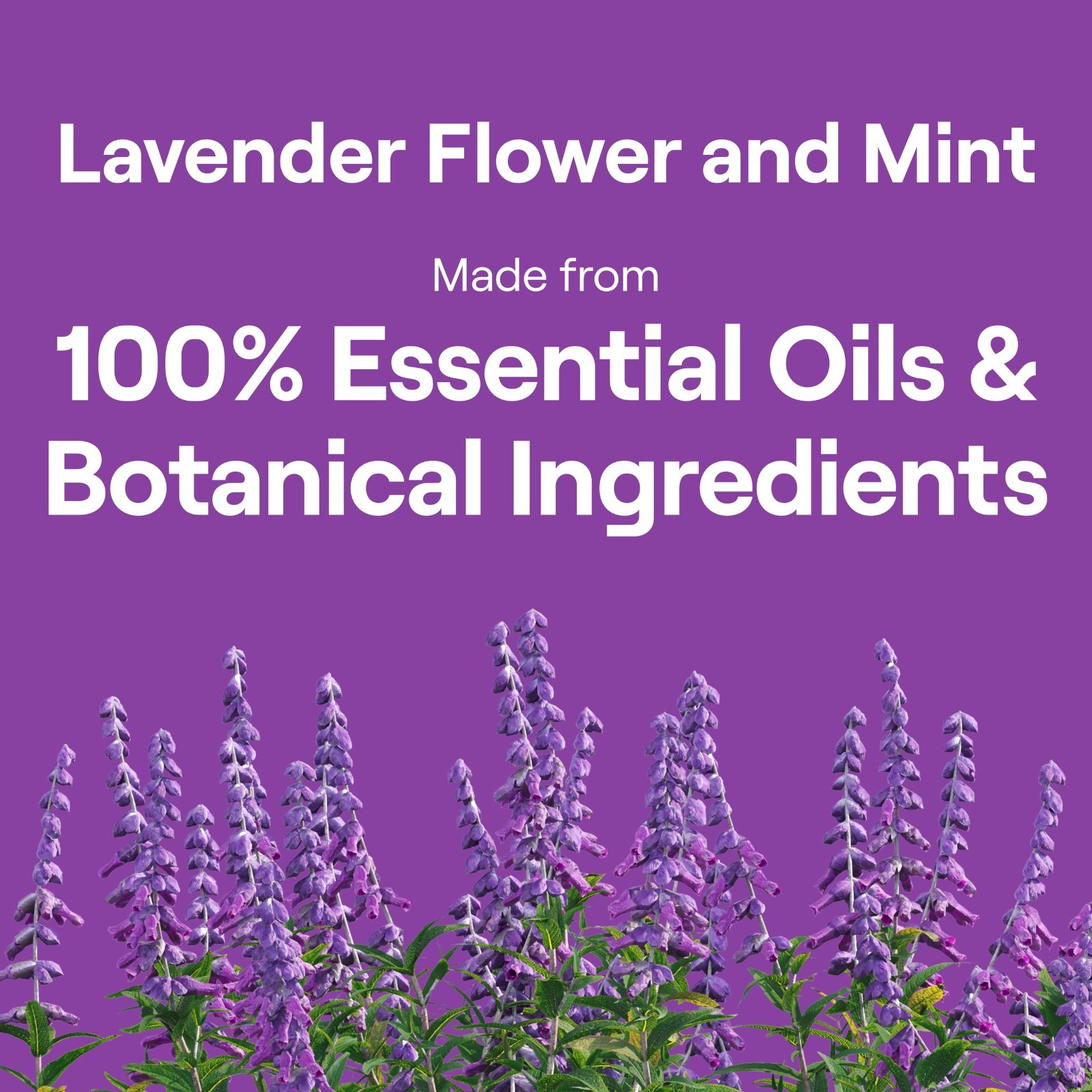 Eco-Friendly Dish Soap Refill 3-Pack, Lavender Mint Scent, 50 oz Each