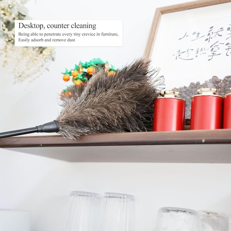 Natural Ostrich Feather Duster Soft Cleaning Tool W/ Plastic Handle Dusting New