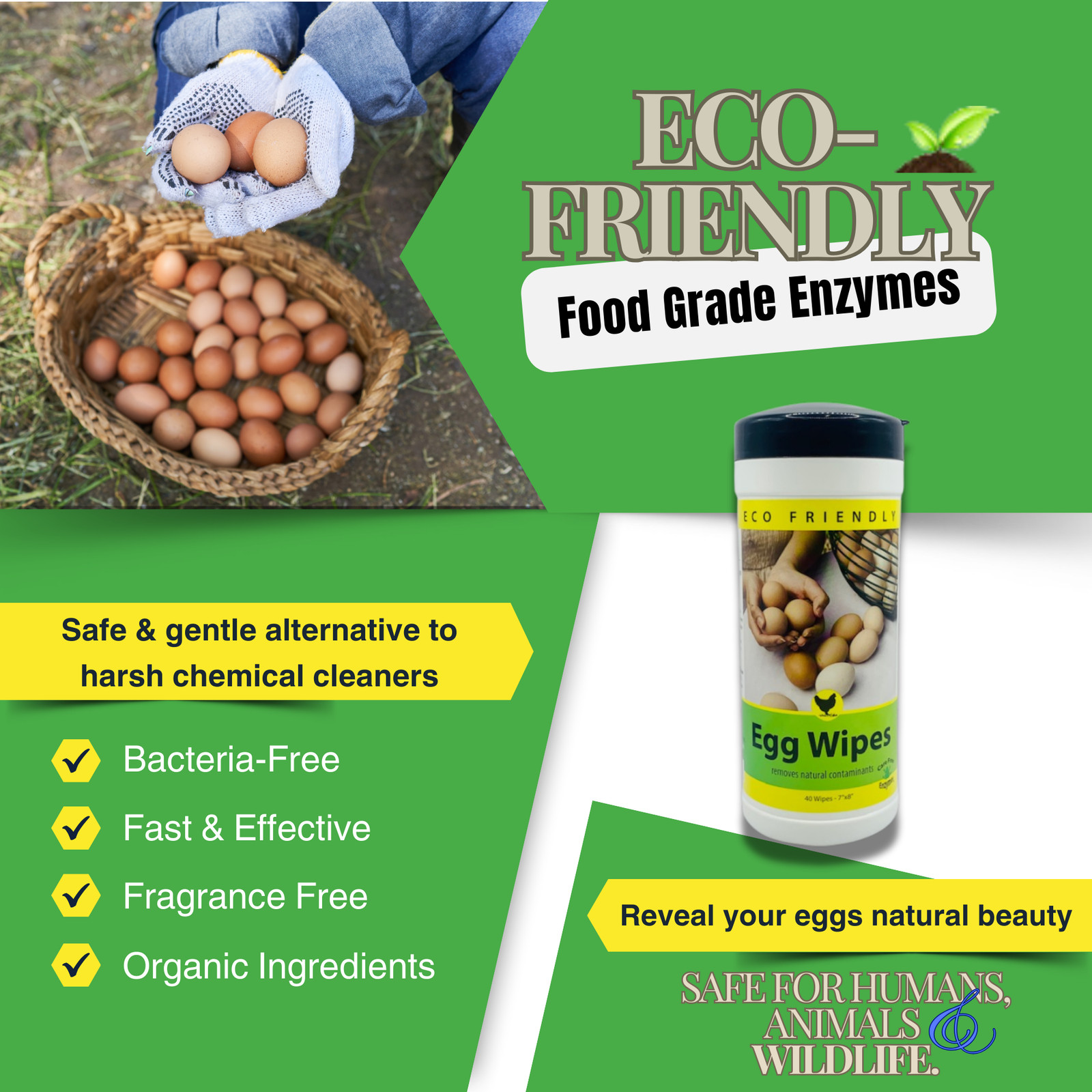 Natural Egg Cleaning Wipes | Convenient & Safe for Fresh Eggs | 40 Count