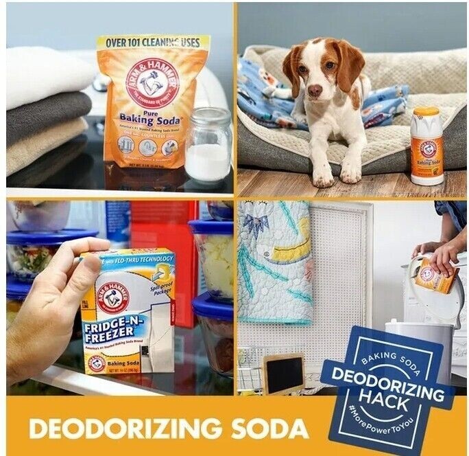 Arm & Hammer Fresh-N-Natural Household Odor Eliminator, 12 OZ each, 2 Boxes