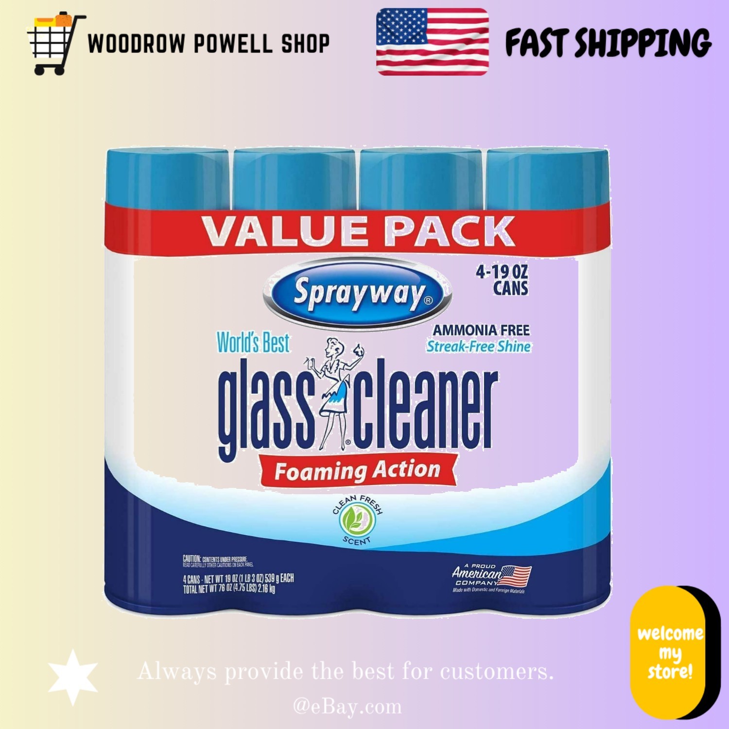 19 fl. oz. SW Glass Cleaner Aerosol (4-Pack)