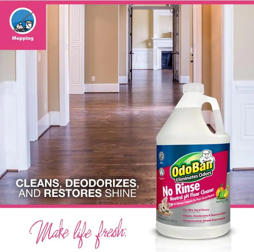 OdoBan No Rinse Neutral pH Floor Cleaner, Concentrate – 1 Gallon