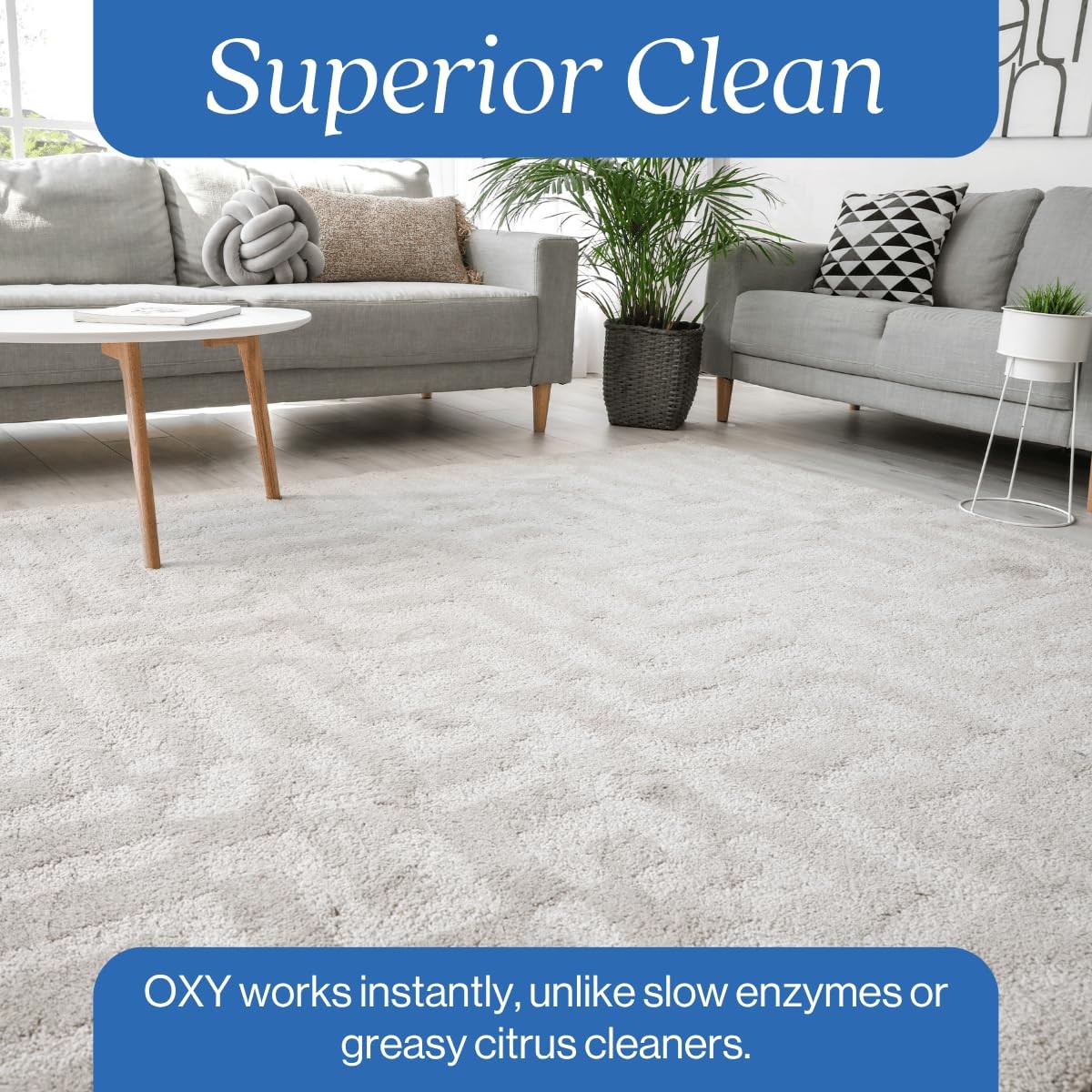 Oxygen Carpet Cleaner For Pet Stains Urine Odor Remover 32oz Spot Treatment