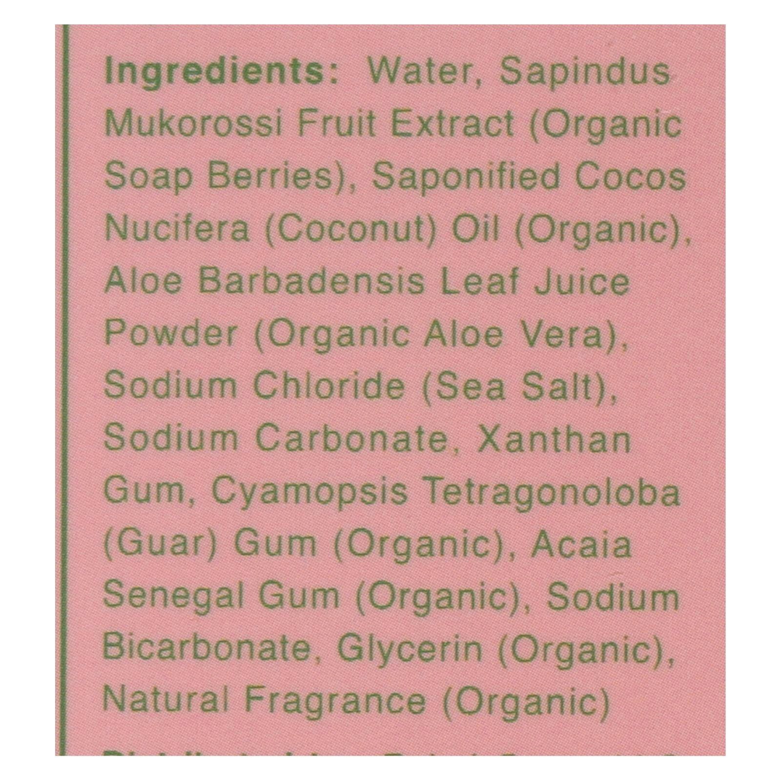 Rebel Green – Fresh Laundry Detergent – Pink Lilac 64 fl. oz (Pack of 4)