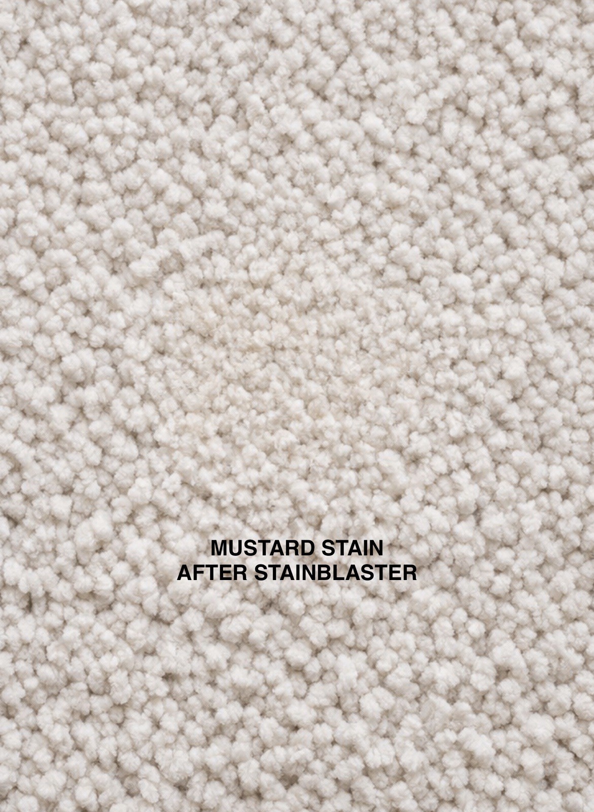 2 STAINBLASTER Non-Toxic, Child & Pet Safe Carpet, Upholstery, Clothes Cleaner
