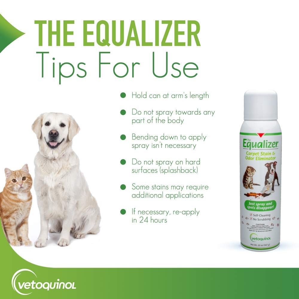 Vetoquinol Equalizer Pet Carpet Cleaner, Stain Remover Odor Eliminator, Car…