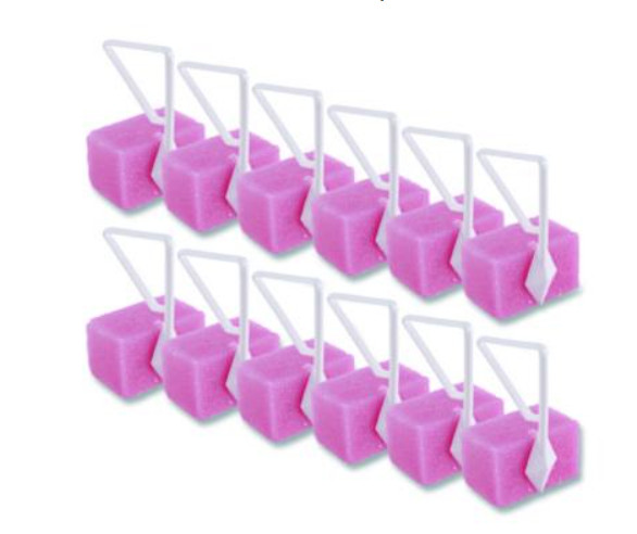 Toilet Bowl Deodorizer Block Cherry Scented 12 Pack