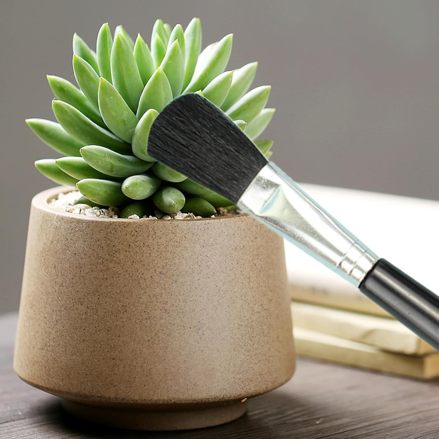 Elegant Black 2-Pc Duo: Plant Leaf Cleaner & Miniature Moss Brush for Gardens