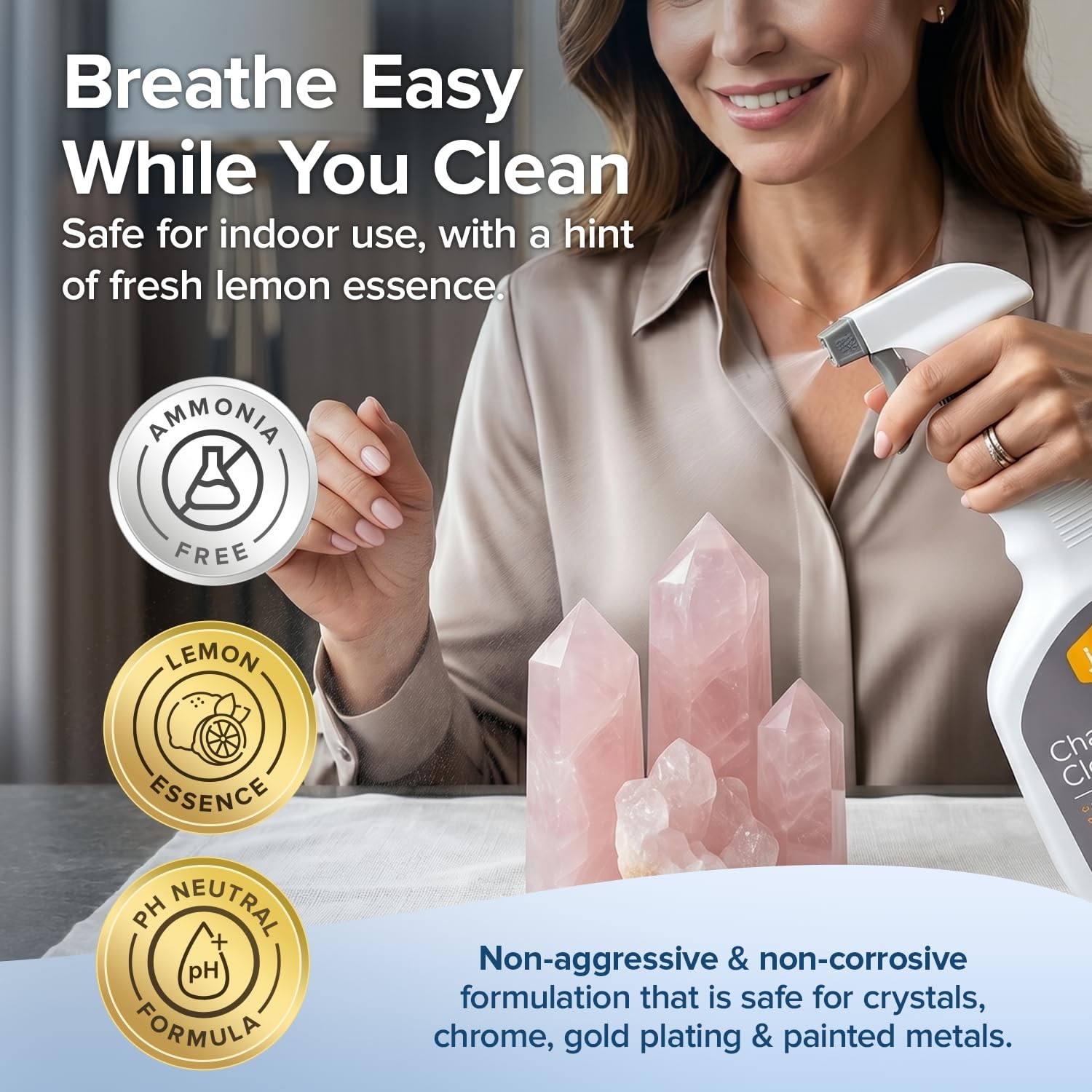 Goodscious Chandelier Cleaner