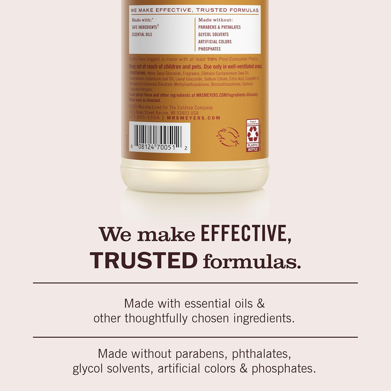 CLEAN DAY Multi-Surface Everyday Cleaner, Apple Cider Scent, 16 Fl Oz Bottle