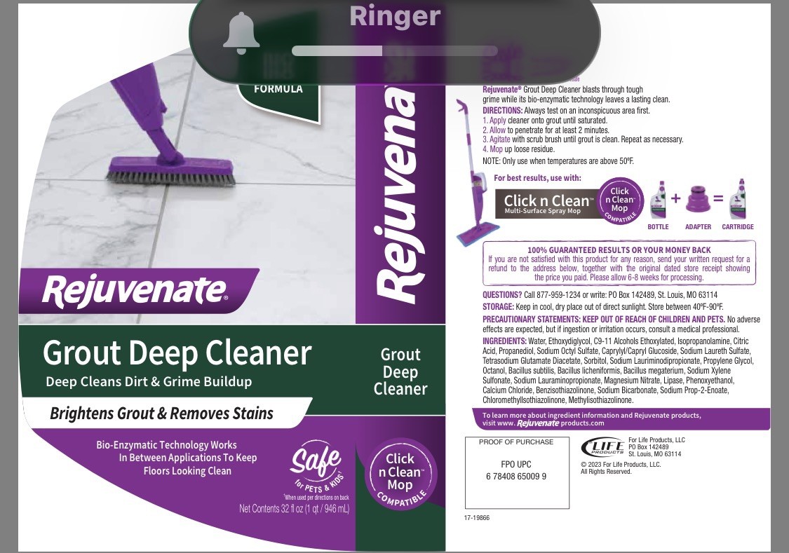 Rejuvenate Grout Deep Cleaner Bio Enzymatic Tough Stains Formula – 32 fl oz