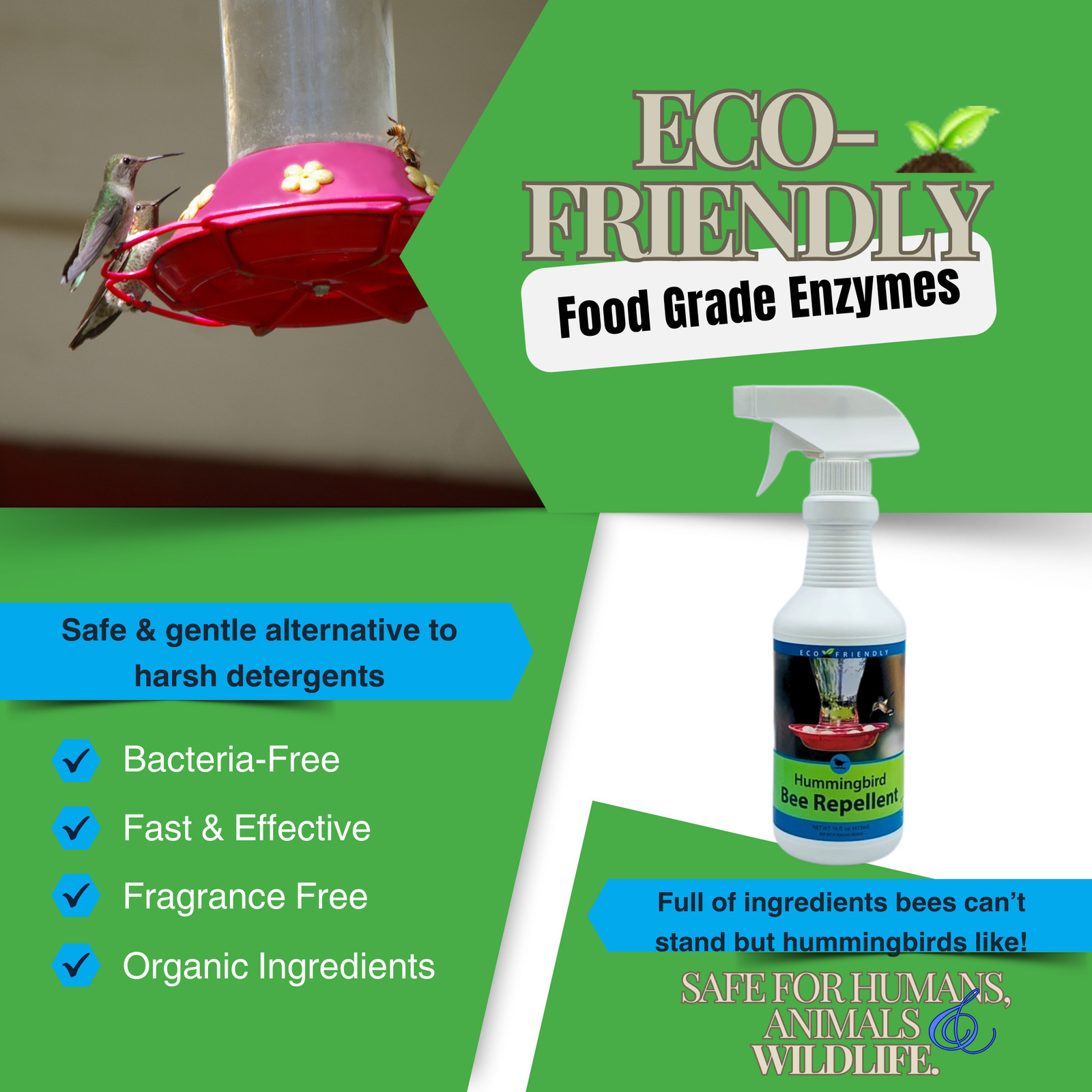 Natural Bee & Wasp Repellent for Hummingbird Feeders | Hummingbird Bee Repellent