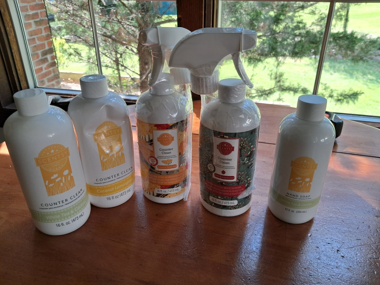 Sealed Scentsy Counter Cleanx4 Lemongrass 16 Fl Oz Cactus Apple + 1 Hand Soap