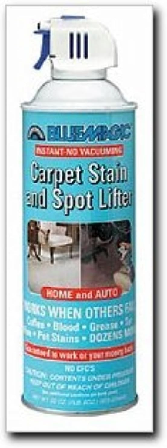22 oz. Unscented Carpet Stain & Spot Lifter – Instant Cleaning Convenience