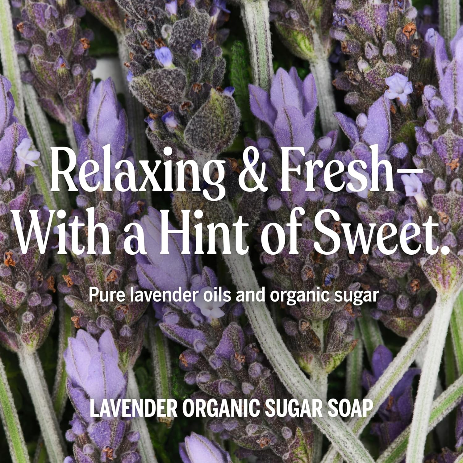 Dr. Bronner’s Organic Sugar Soap (Lavender, 64 Ounce)- Made with Organic Oils,