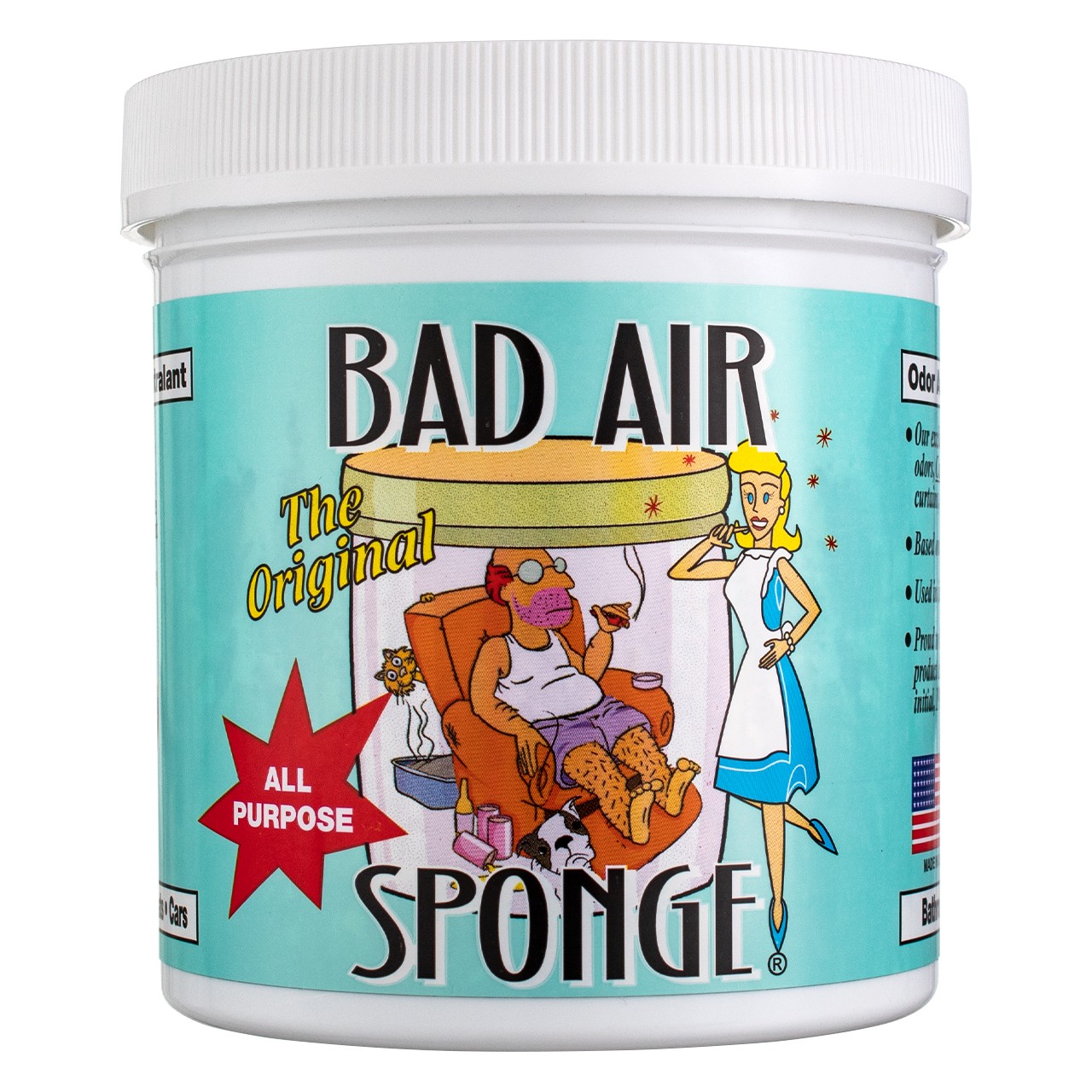 2 Pack Bad Air The Original All-Purpose Sponge, 14 oz