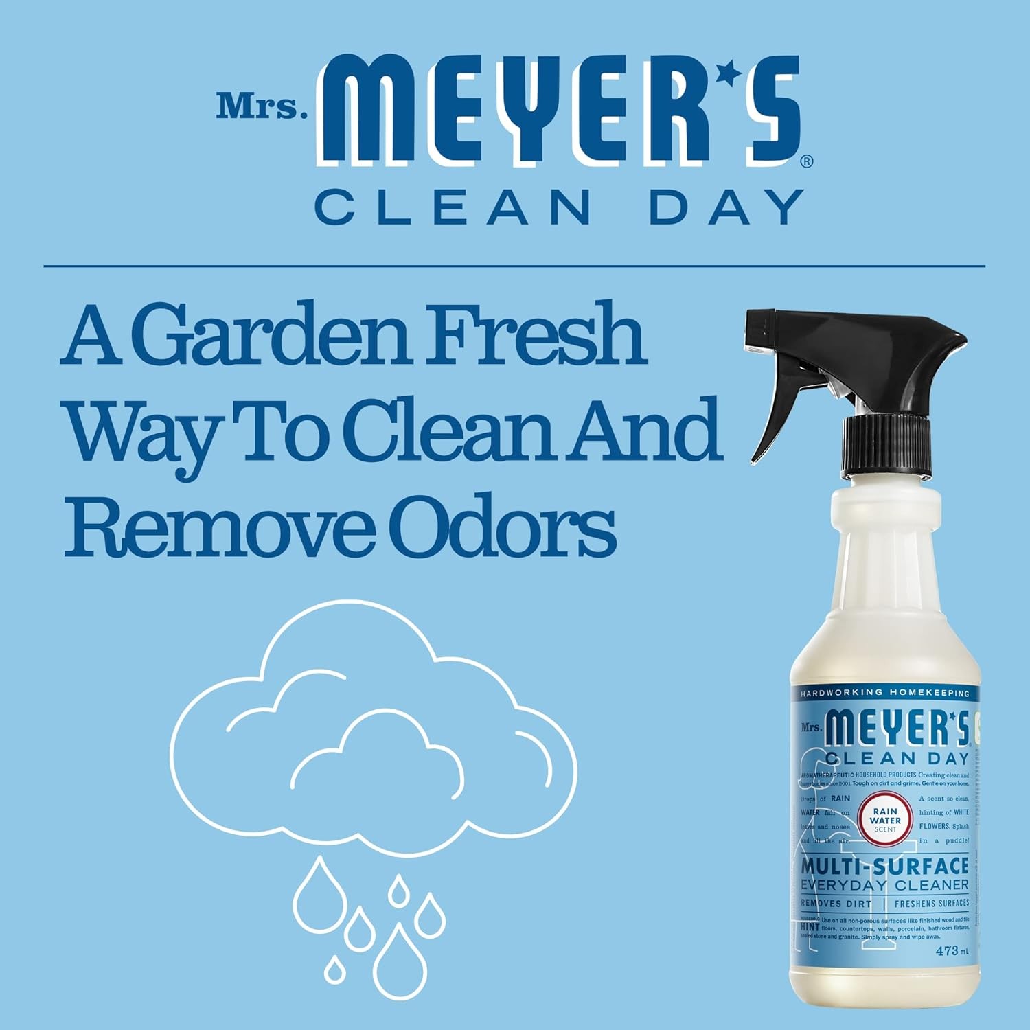 CLEAN DAY Multi-Surface Everyday Cleaner, Rain Water Scent, 16 Ounce Bottle