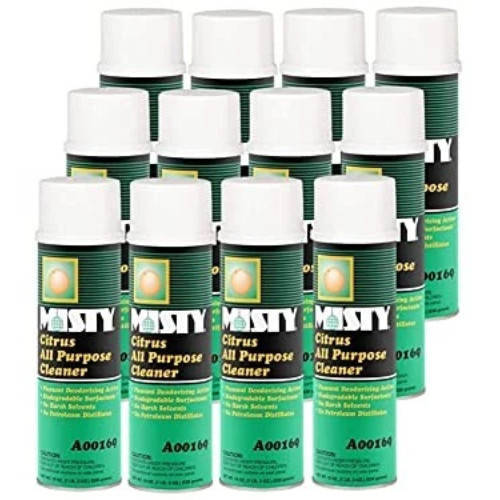 MISTY Citrus All-Purpose Cleaner – 19 oz (Case of 12) 1001583