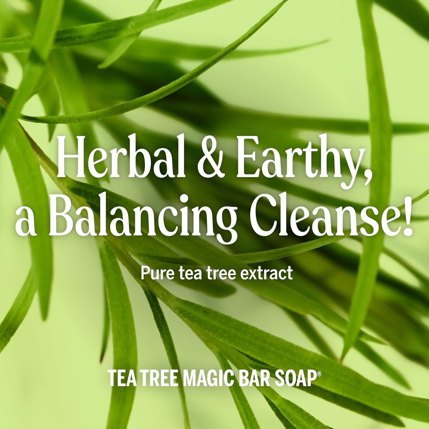 Dr. Bronner’s Pure-Castile Magic Bar Soap – Tea Tree, Made with Regenerative O