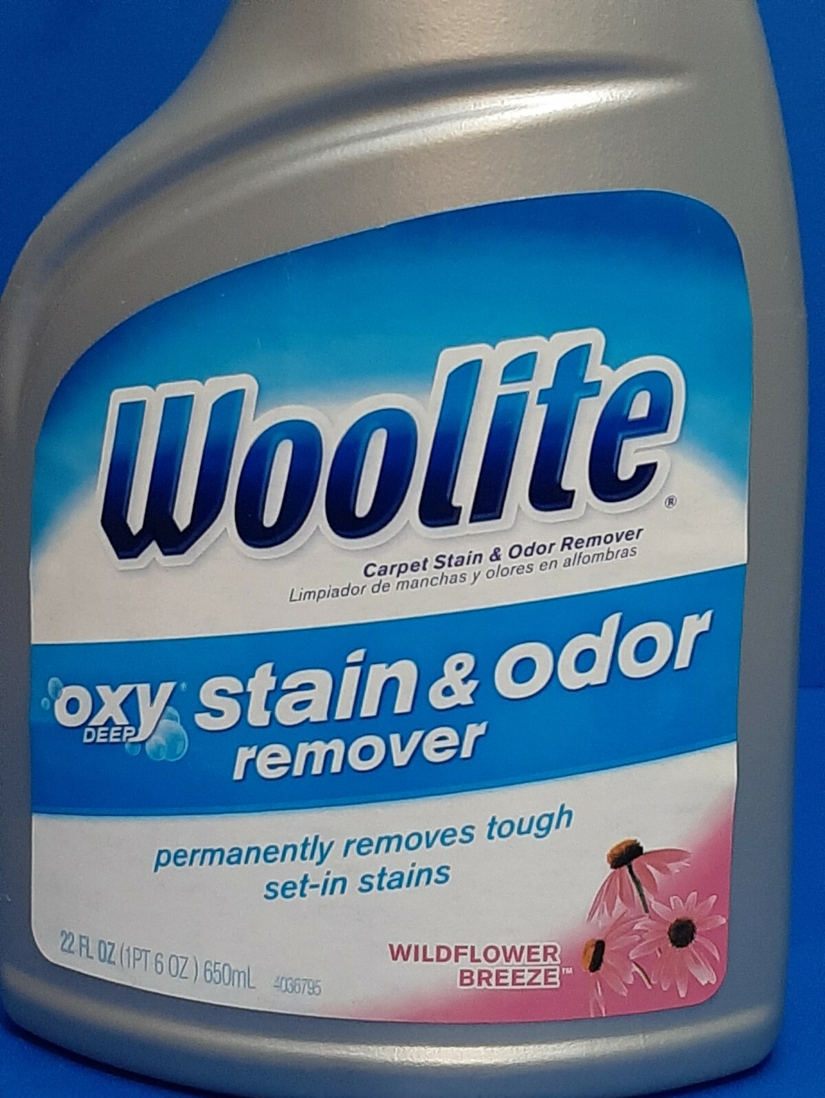 Woolite Oxy Deep Stain & Odor Remover Carpet Cleaner~ Wildflower Breeze ~22 oz.