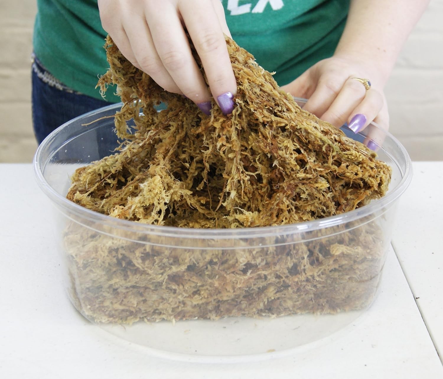 besgrow Premium New Zealand Sphagnum Moss, 150g 12L When Hydrated Premier AAA…