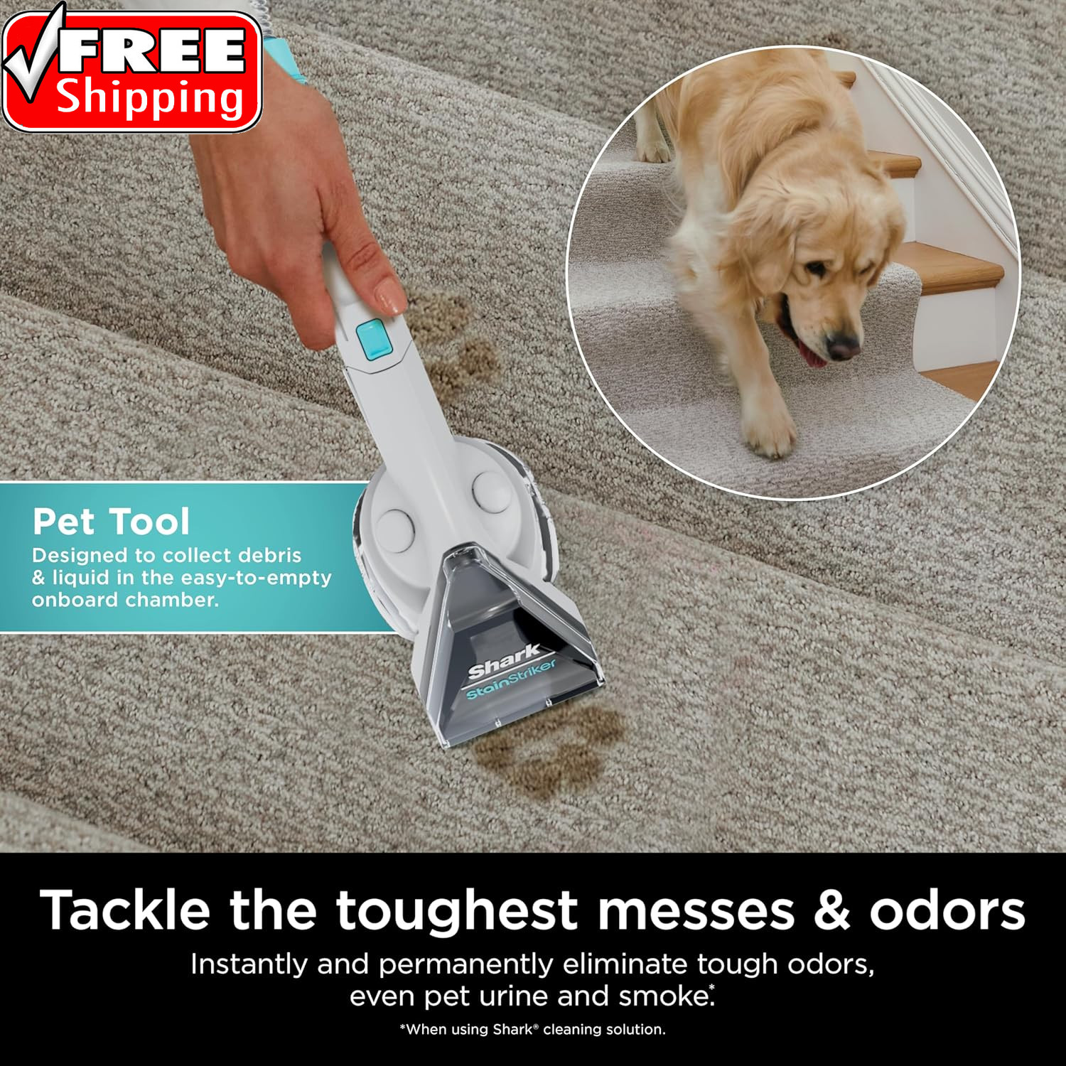 Shark Stainstriker Cleaning Solution Bundle for Portable Cleaners, Carpet and Ar
