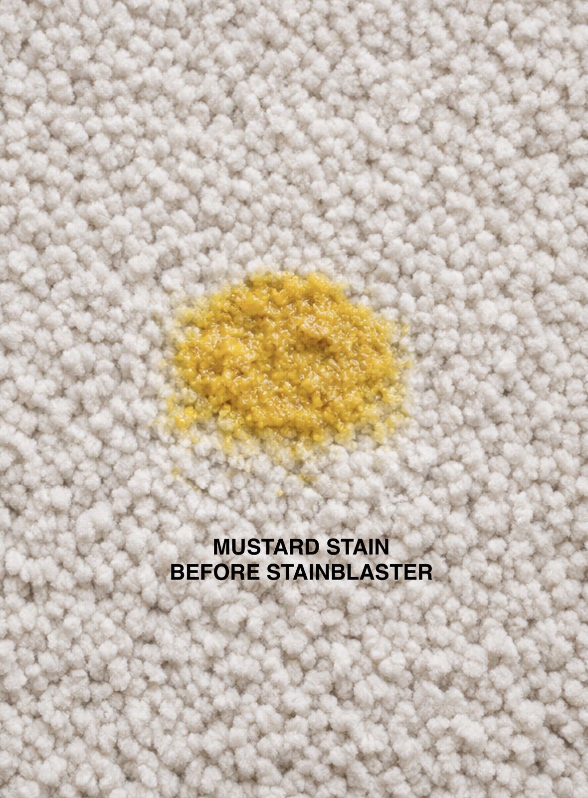 2 STAINBLASTER Non-Toxic, Child & Pet Safe Carpet, Upholstery, Clothes Cleaner