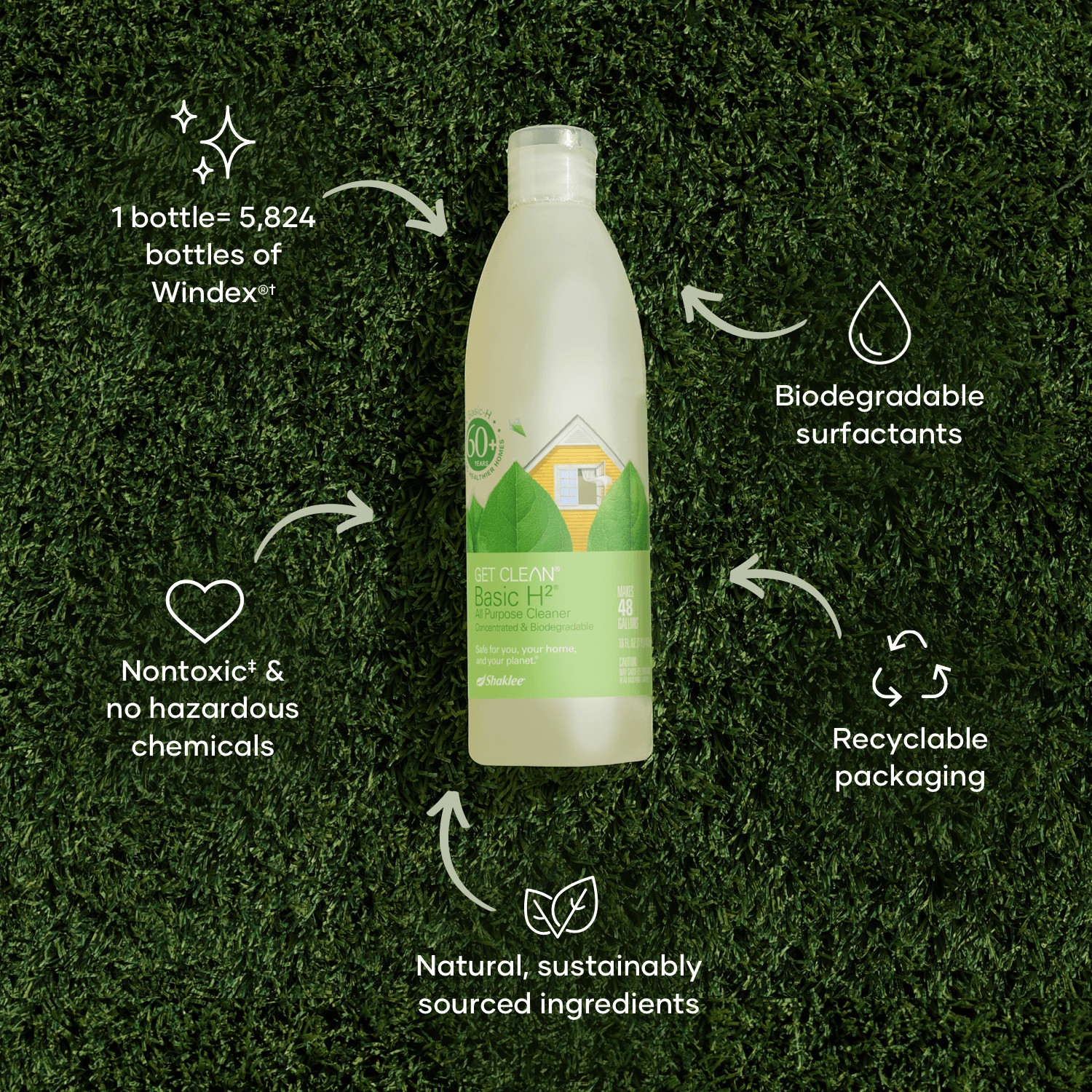 Basic H2 Biodegradable Cleaner